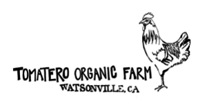 Tomato Organic Farm